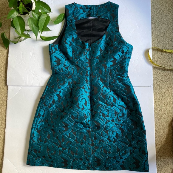 Anthro / Tabitha Ottava dress - Picture 10 of 15